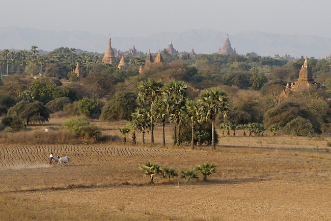 Pagan-lever de soleil-073